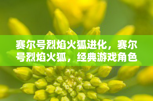 赛尔号烈焰火狐进化，赛尔号烈焰火狐，经典游戏角色背后的传奇故事