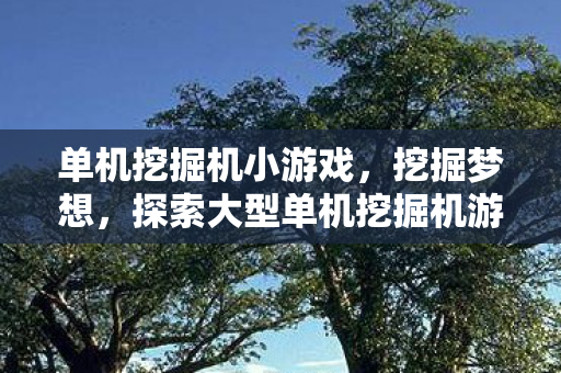 单机挖掘机小游戏，挖掘梦想，探索大型单机挖掘机游戏的魅力