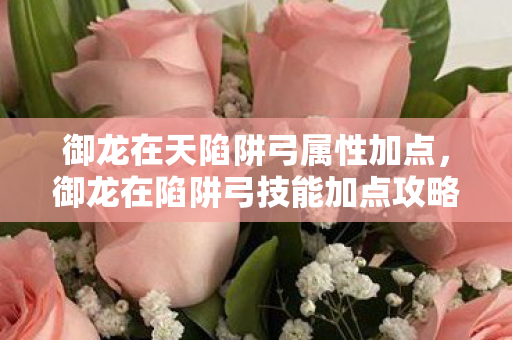 御龙在天陷阱弓属性加点，御龙在陷阱弓技能加点攻略