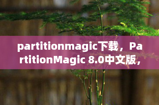partitionmagic下载,PartitionMagic 8.0中文版,高效磁盘管理的得力助手 partitionmagic下载,PartitionMagic 8.0中文版,高效磁盘管理的得力助手