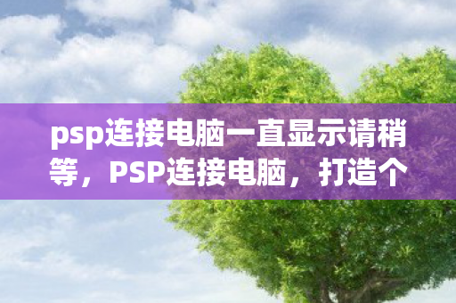 psp连接电脑一直显示请稍等，PSP连接电脑，打造个性化娱乐新体验