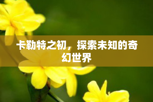 卡勒特之初,探索未知的奇幻世界 卡勒特之初,探索未知的奇幻世界