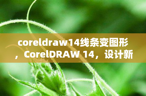coreldraw14线条变图形，CorelDRAW 14，设计新境界的创意工具