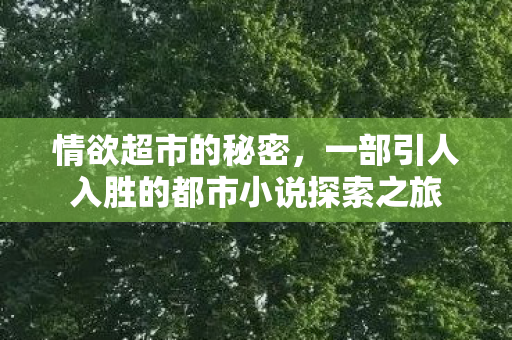 情欲超市的秘密，一部引人入胜的都市小说探索之旅
