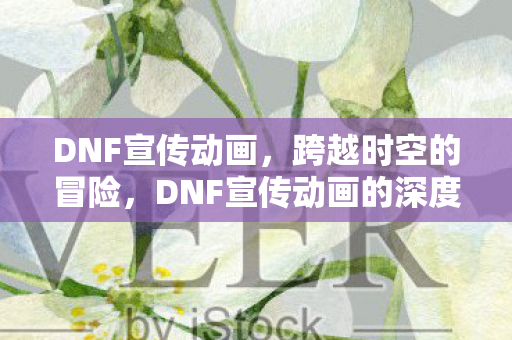 DNF宣传动画，跨越时空的冒险，DNF宣传动画的深度解析