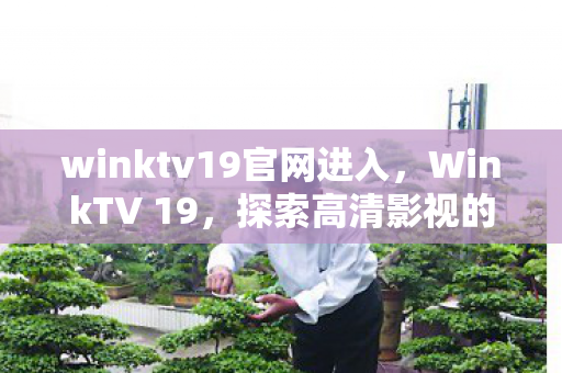 winktv19官网进入，WinkTV 19，探索高清影视的无限可能