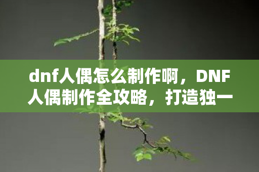 dnf人偶怎么制作啊，DNF人偶制作全攻略，打造独一无二的角色伙伴