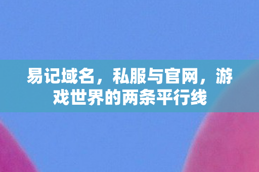 易记域名，私服与官网，游戏世界的两条平行线
