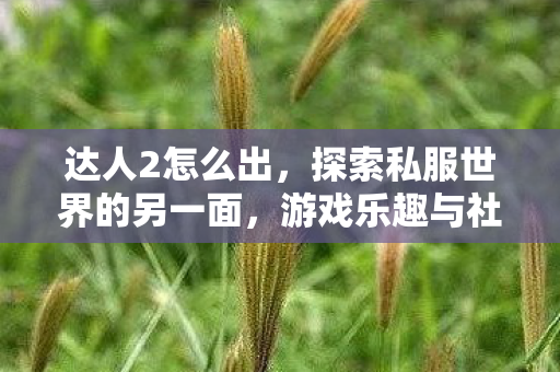 达人2怎么出，探索私服世界的另一面，游戏乐趣与社区文化的独特魅力