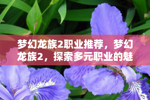 梦幻龙族2职业推荐，梦幻龙族2，探索多元职业的魅力