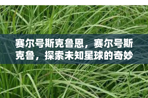 赛尔号斯克鲁恩，赛尔号斯克鲁，探索未知星球的奇妙之旅