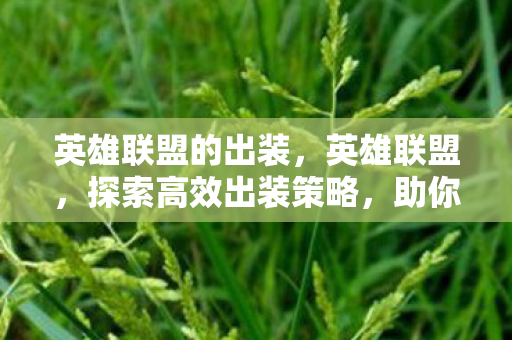 英雄联盟的出装，英雄联盟，探索高效出装策略，助你称霸战场