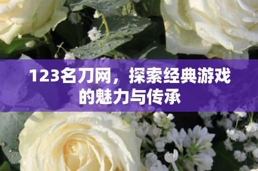 123名刀网，探索经典游戏的魅力与传承