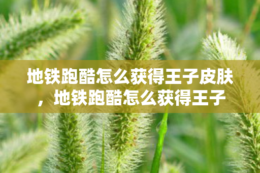 地铁跑酷怎么获得王子皮肤，地铁跑酷怎么获得王子