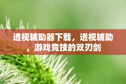 透视辅助器下载，透视辅助，游戏竞技的双刃剑