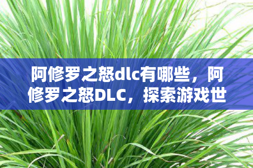 阿修罗之怒dlc有哪些，阿修罗之怒DLC，探索游戏世界的深层奥秘