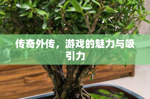 传奇外传，游戏的魅力与吸引力
