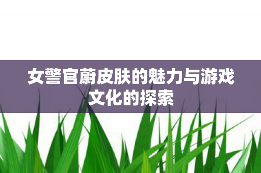 女警官蔚皮肤的魅力与游戏文化的探索