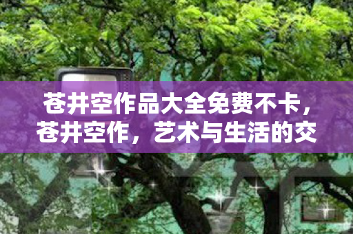 苍井空作品大全免费不卡，苍井空作，艺术与生活的交织