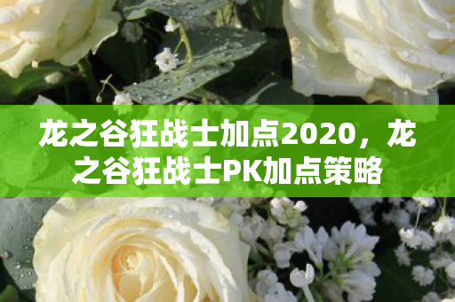 龙之谷狂战士加点2020，龙之谷狂战士PK加点策略