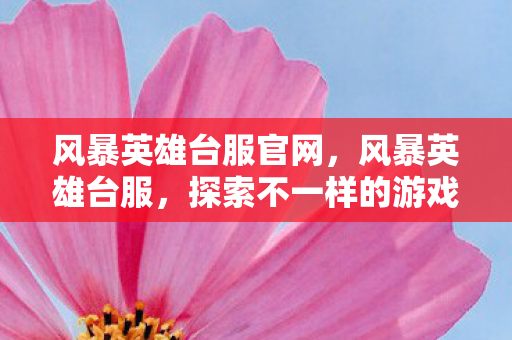 风暴英雄台服官网，风暴英雄台服，探索不一样的游戏体验