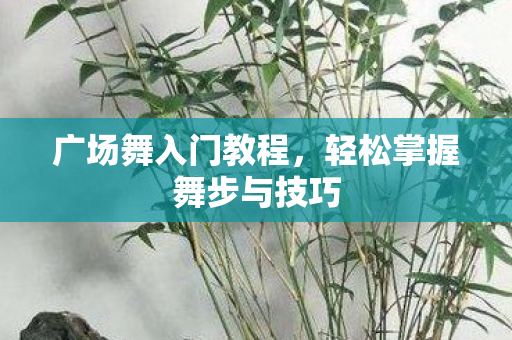 广场舞入门教程，轻松掌握舞步与技巧