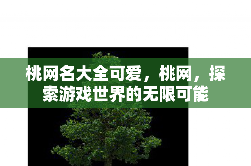桃网名大全可爱，桃网，探索游戏世界的无限可能