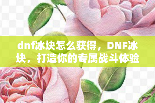 dnf冰块怎么获得，DNF冰块，打造你的专属战斗体验