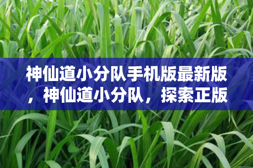 神仙道小分队手机版最新版，神仙道小分队，探索正版游戏的无限可能