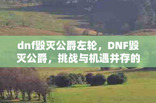 dnf毁灭公爵左轮，DNF毁灭公爵，挑战与机遇并存的异界之旅
