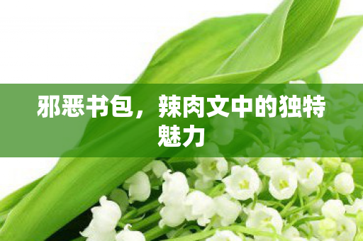 邪恶书包，辣肉文中的独特魅力