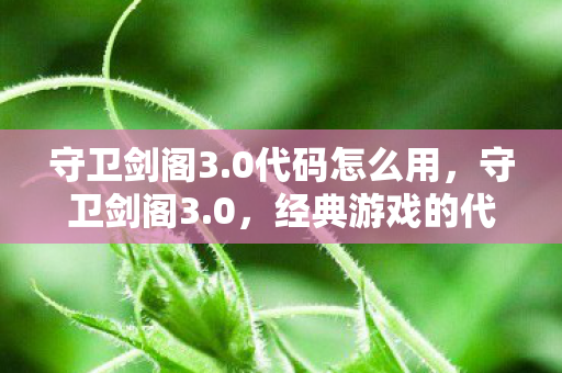 守卫剑阁3.0代码怎么用，守卫剑阁3.0，经典游戏的代码魅力与传承