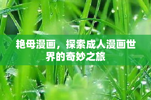 艳母漫画，探索成人漫画世界的奇妙之旅