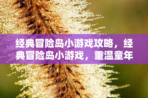 经典冒险岛小游戏攻略，经典冒险岛小游戏，重温童年回忆的奇妙之旅