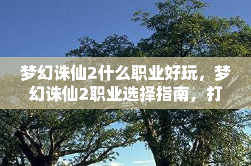 梦幻诛仙2什么职业好玩，梦幻诛仙2职业选择指南，打造你的专属角色