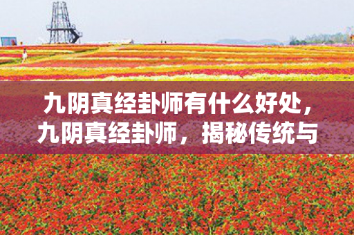 九阴真经卦师有什么好处，九阴真经卦师，揭秘传统与现代的融合