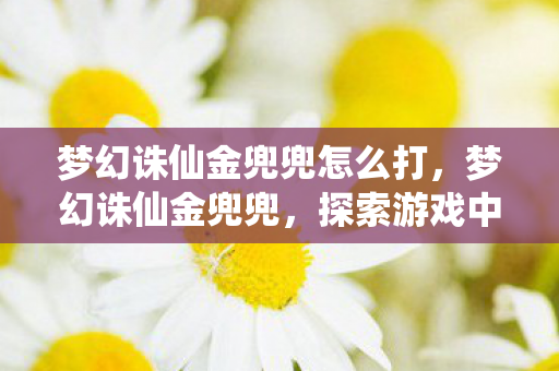 梦幻诛仙金兜兜怎么打，梦幻诛仙金兜兜，探索游戏中的奇妙世界