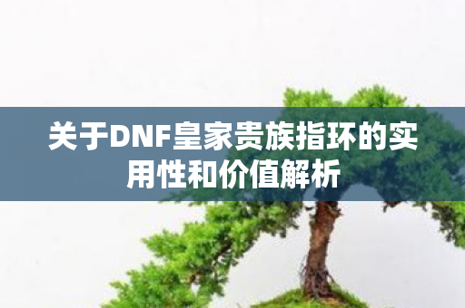 关于DNF皇家贵族指环的实用性和价值解析