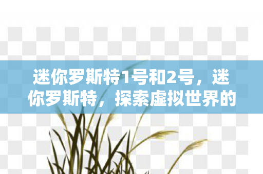 迷你罗斯特1号和2号，迷你罗斯特，探索虚拟世界的无限可能