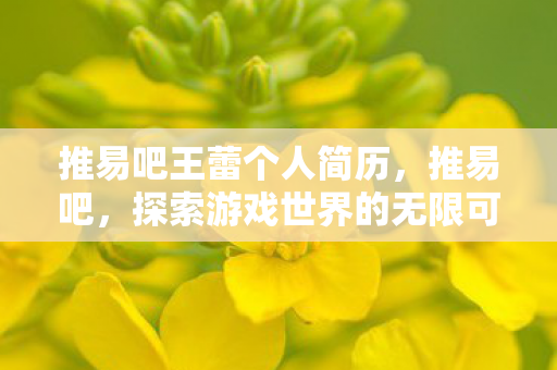 推易吧王蕾个人简历,推易吧,探索游戏世界的无限可能 推易吧王蕾个人简历,推易吧,探索游戏世界的无限可能