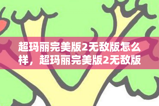 超玛丽完美版2无敌版怎么样，超玛丽完美版2无敌版，重温经典，畅享无限乐趣