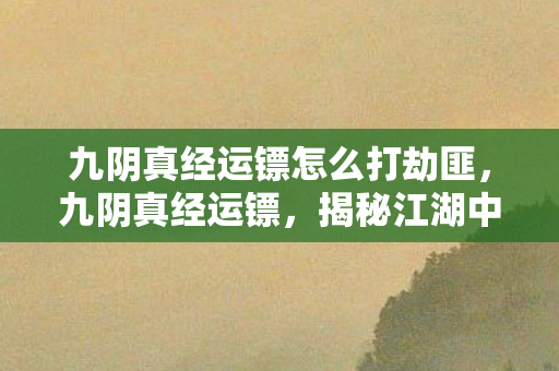 九阴真经运镖怎么打劫匪，九阴真经运镖，揭秘江湖中的神秘镖师与他们的传奇之旅