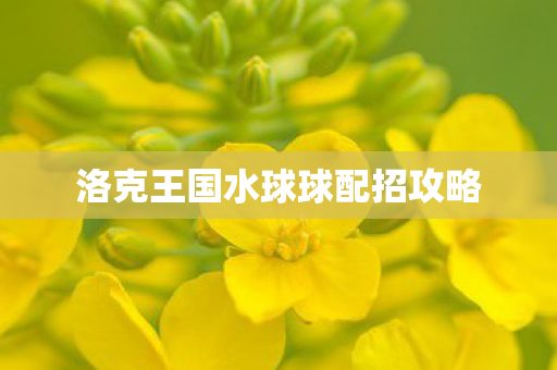 洛克王国水球球配招攻略 洛克王国水球球配招攻略