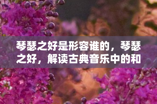 琴瑟之好是形容谁的，琴瑟之好，解读古典音乐中的和谐之美