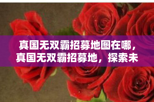真国无双霸招募地图在哪，真国无双霸招募地，探索未知，共筑荣耀