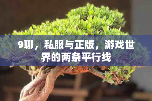 9聊，私服与正版，游戏世界的两条平行线