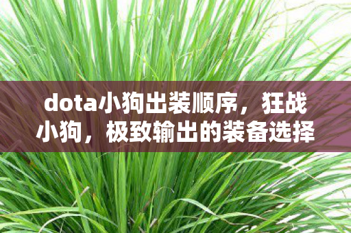 dota小狗出装顺序，狂战小狗，极致输出的装备选择