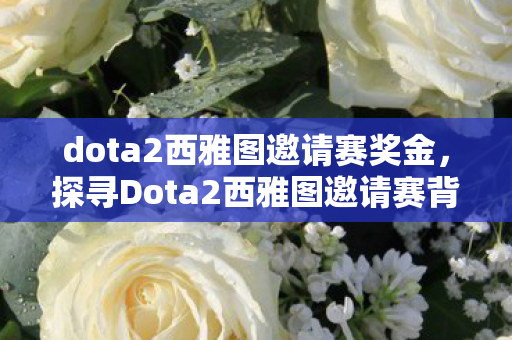 dota2西雅图邀请赛奖金，探寻Dota2西雅图邀请赛背后的故事，荣耀与挑战并存