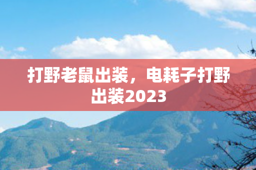 打野老鼠出装，电耗子打野出装2023
