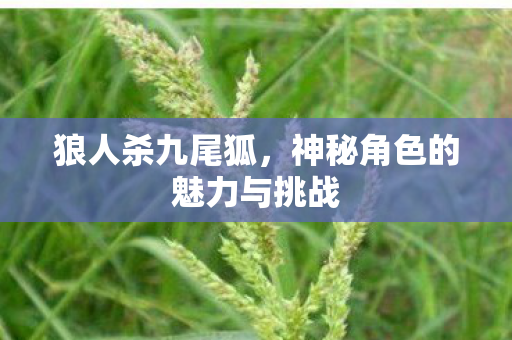 狼人杀九尾狐，神秘角色的魅力与挑战